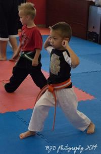 TinyTigersBeltTest-05